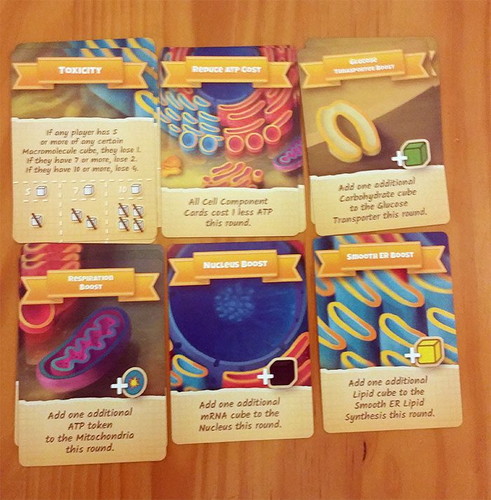 Cytosis: A Cell Biology Game 2nd Ed. (Review by RJ Garrison)