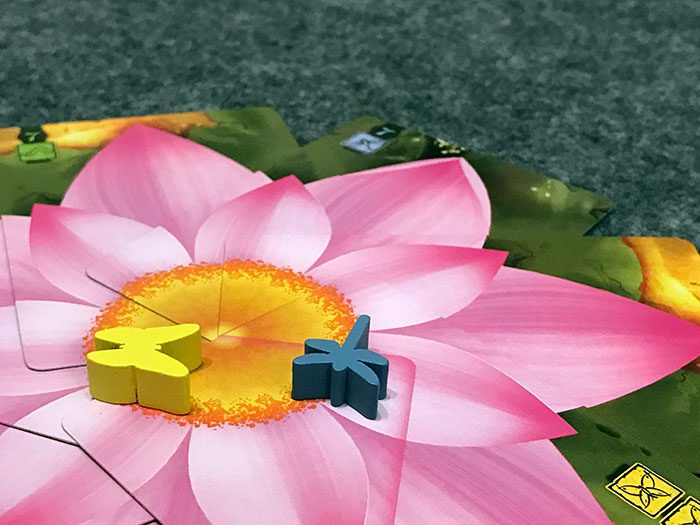 Lotus scoring a flower