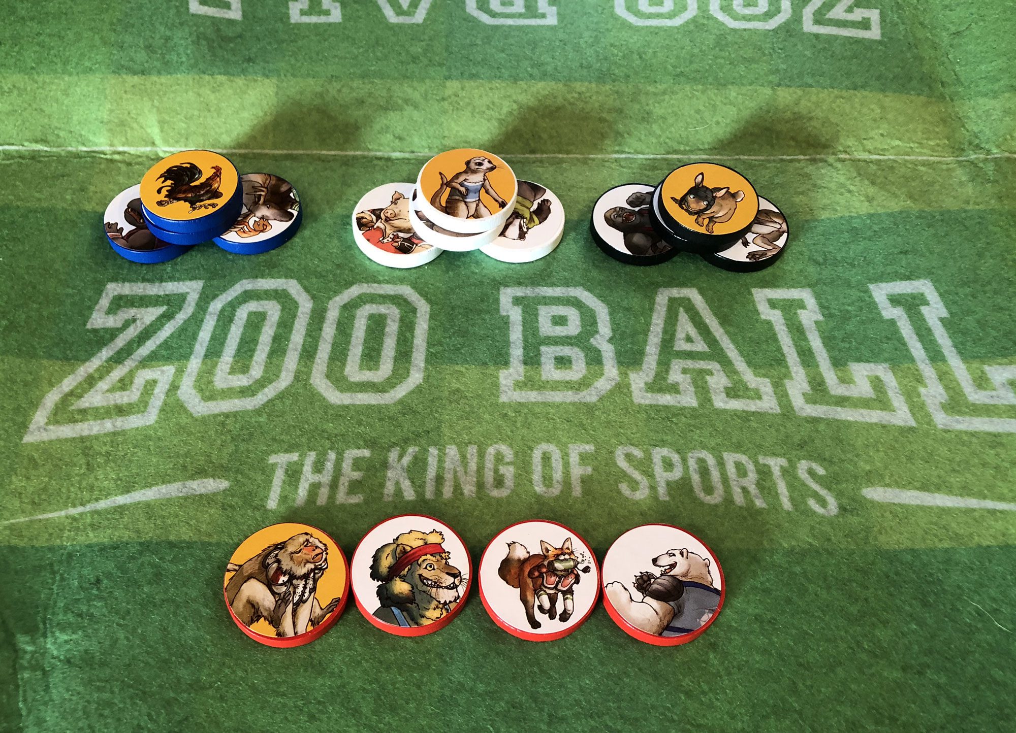 Zoo Ball Game Review — Meeple Mountain