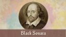 Black Sonata review header