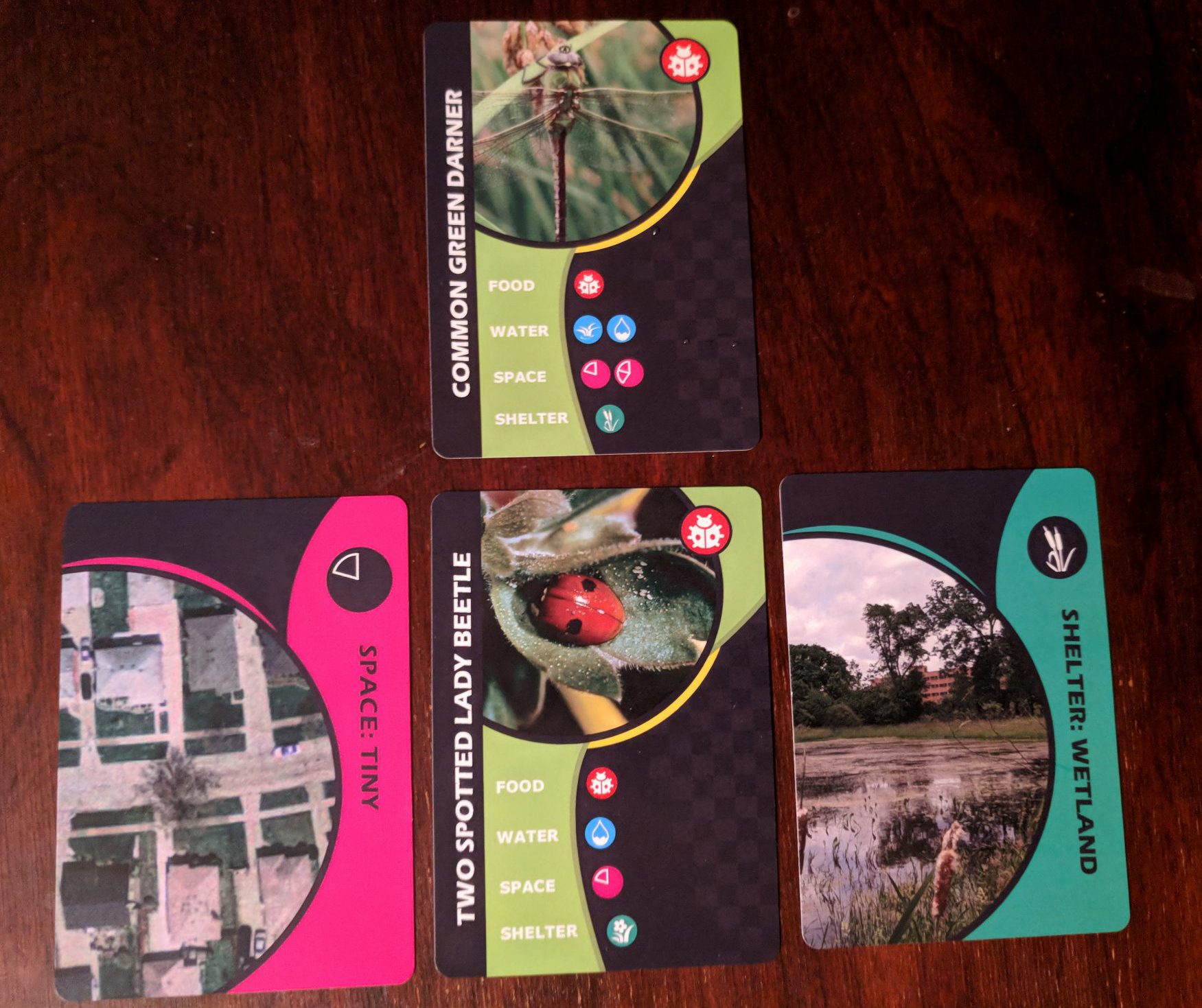 What In The Wild Game Review — Meeple Mountain