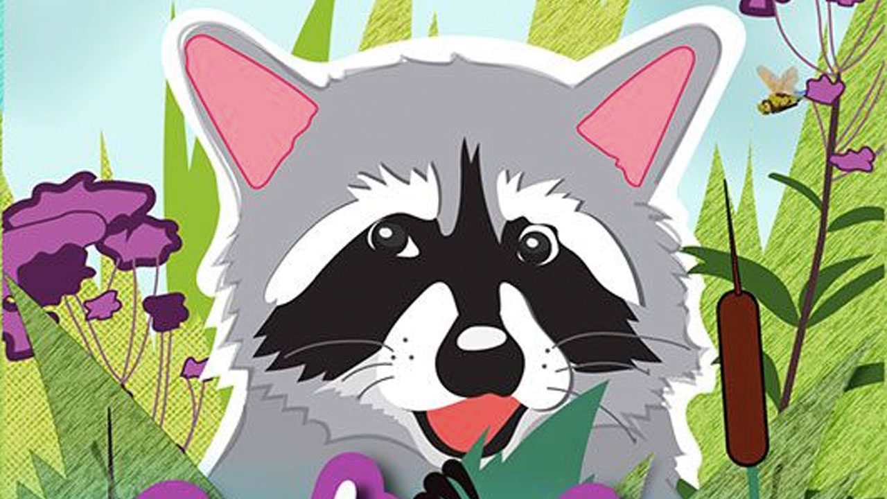 What In The Wild Game Review — Meeple Mountain