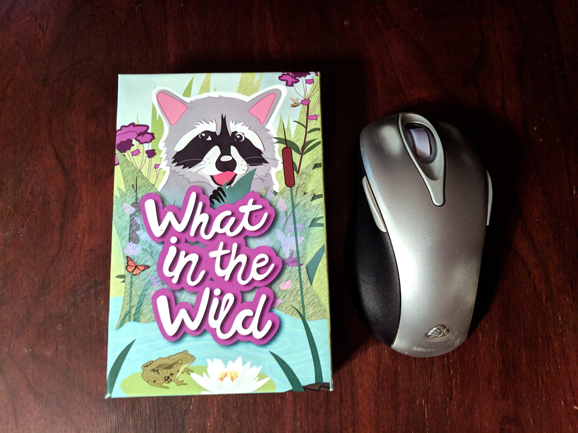 What In The Wild Game Review — Meeple Mountain