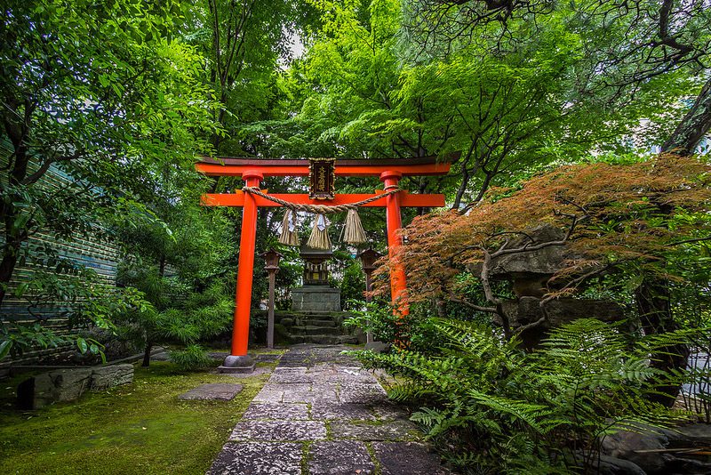 Tsuya and the torii gate