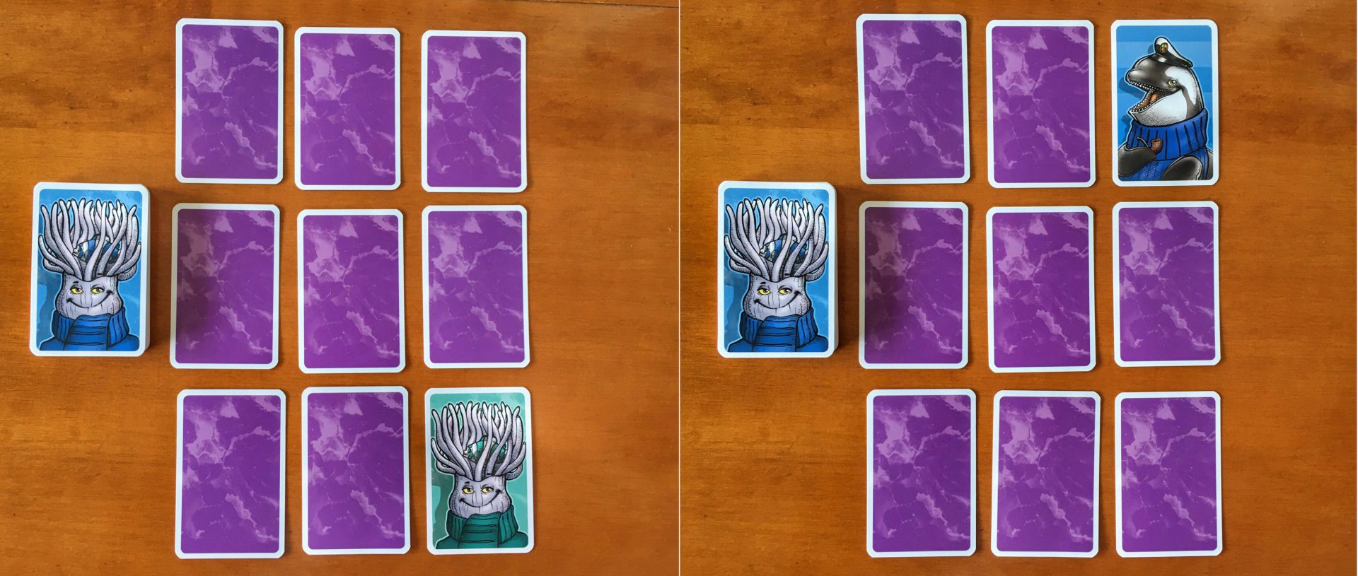 Brainwaves: The Wise Whale Game Review – Meeple Mountain