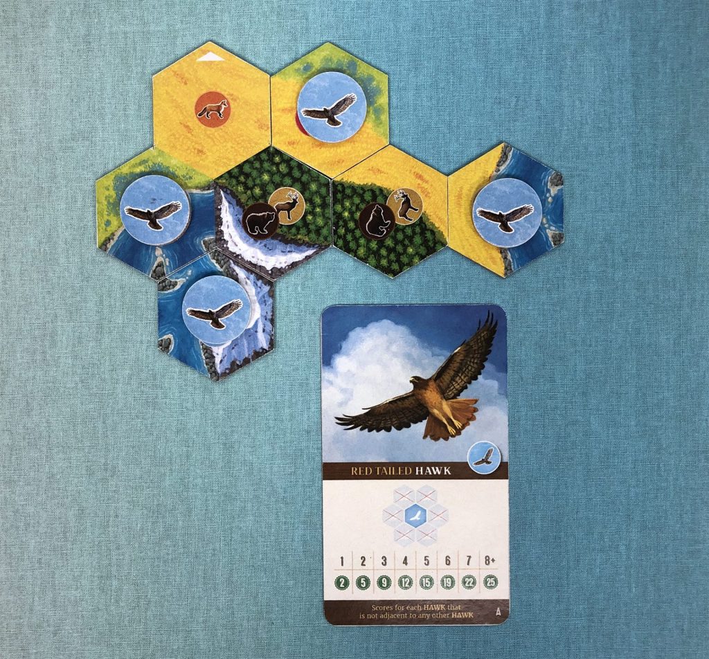 Alderac Entertainment Group (AEG) Cascadia, Award-Winning Board Game Set in  Pacific Northwest, Build Nature Corridors, Attract Wildlife, Ages 10+, 1-4