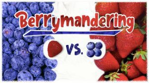 Berrymandering Game Review thumbnail