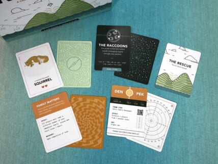 Ravine Game Review — Meeple Mountain