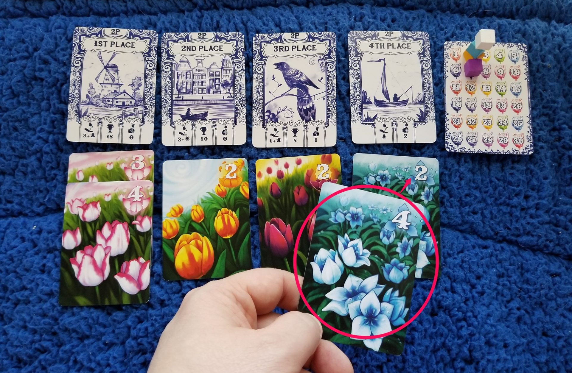 Gift of Tulips Game Review — Meeple Mountain