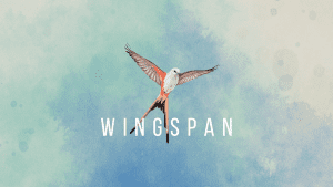 Wingspan Start Screen Art