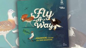 Fly-A-Way Game Review thumbnail