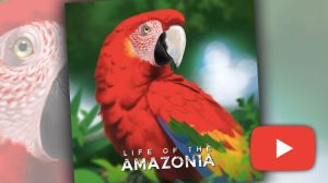 Life of the Amazonia Game Video Review thumbnail