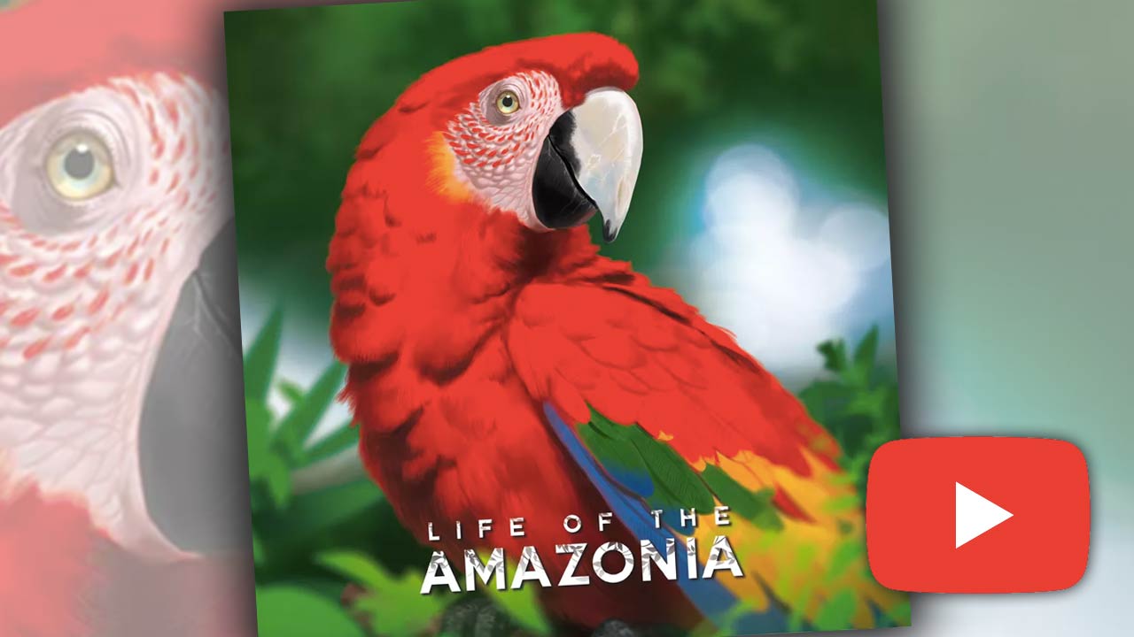 Life of the Amazonia Game Video Review — Meeple Mountain