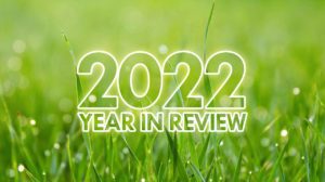 Meeple Mountain Year in Review – 2022 thumbnail