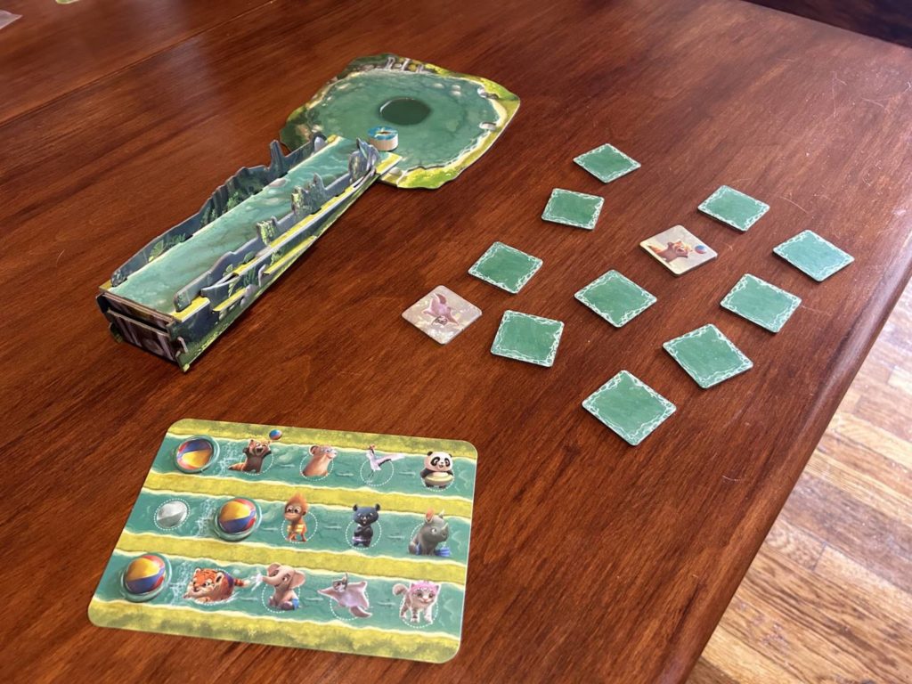 The Turtle Splash! ramp, memory tiles, and a single player board, laid out on the table.