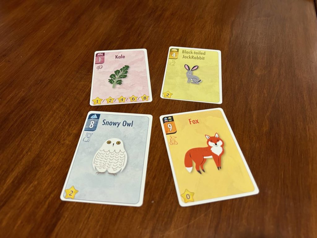 A kale, a rabbit, an owl, and a fox card.