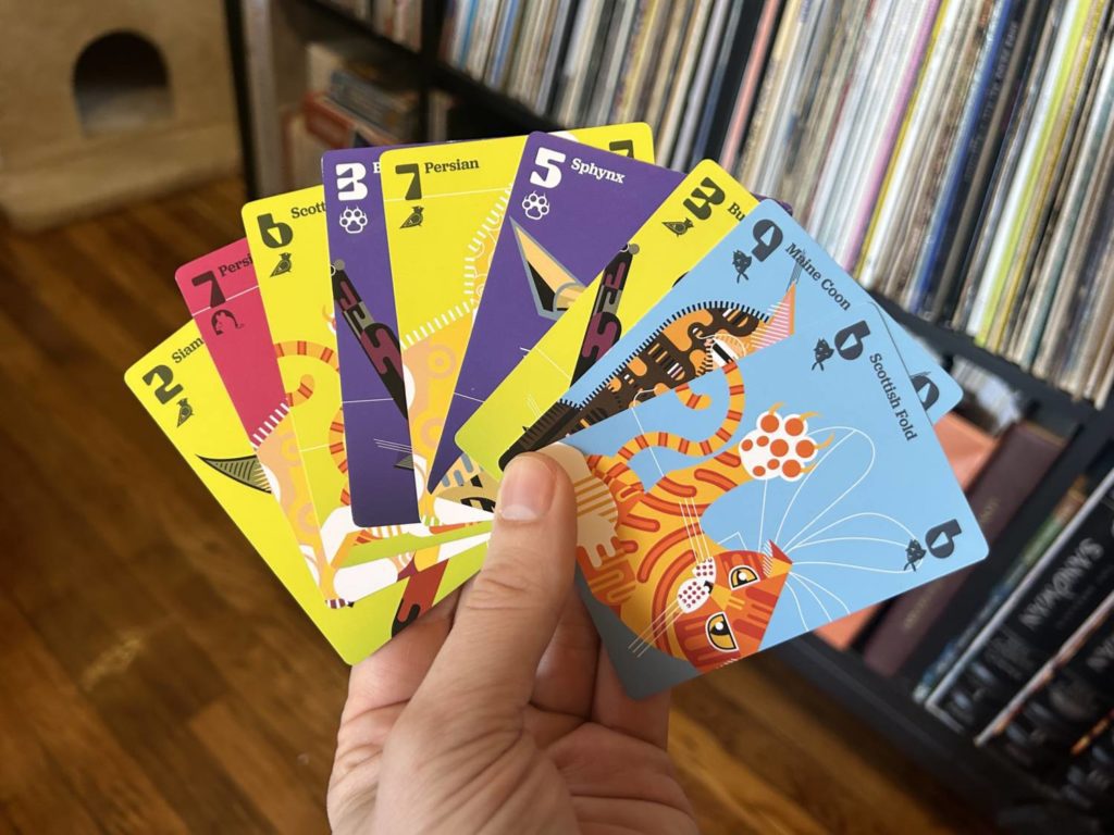 A hand of cards, in bold yellow, red, purple, and blue.