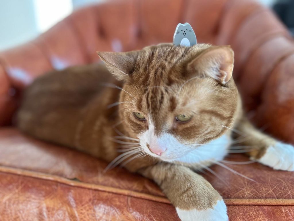 A grey wooden cat on top of the head of a large, real orange cat.