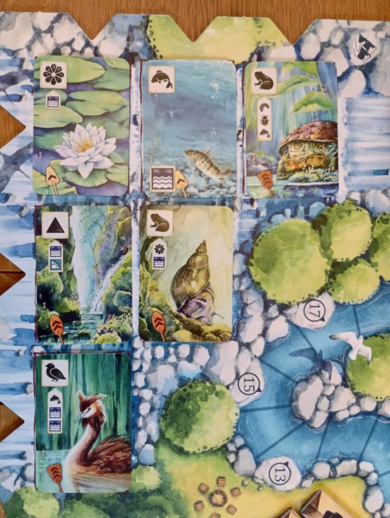 Meadow: Downstream Expansion Review — Meeple Mountain