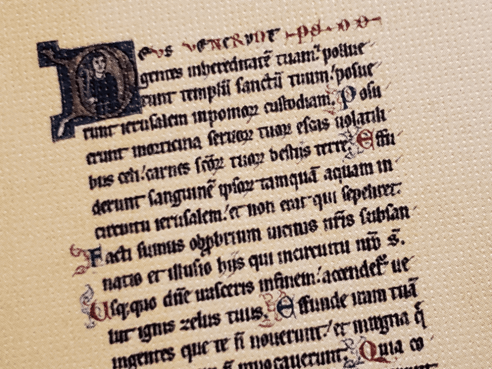 Illumination Game Review – Meeple Mountain