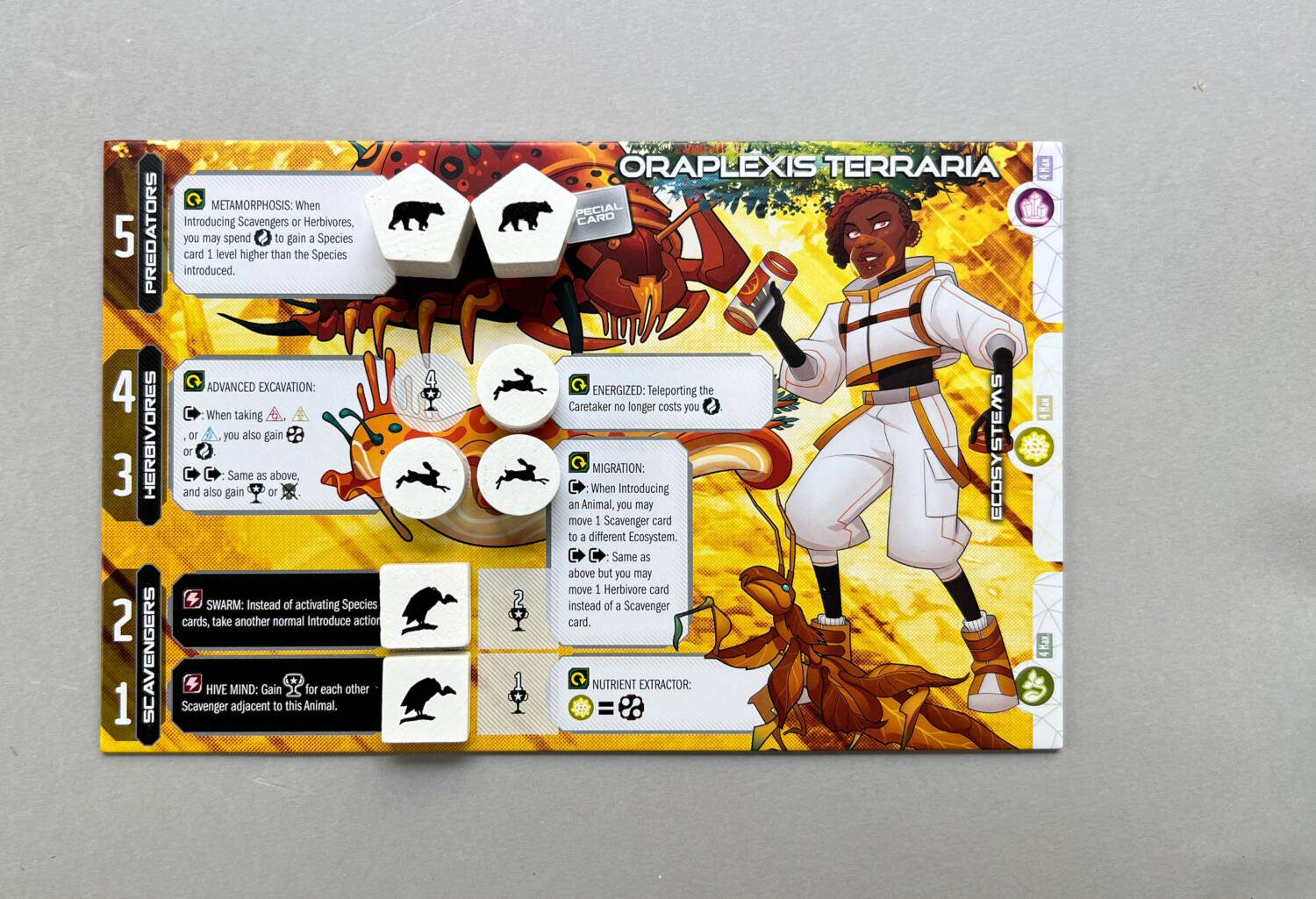A Shaper board with three animals (two Scavengers and one Herbovore) placed on the board, revealing new abilities the player may use.