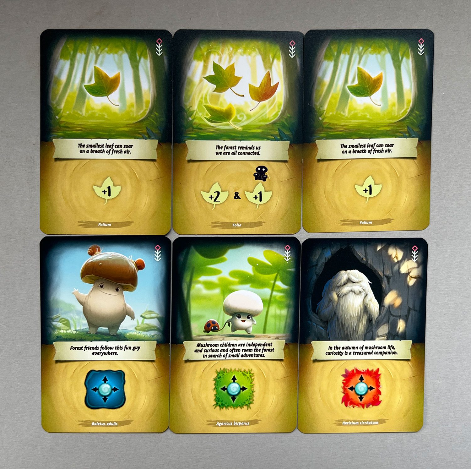 Each player starts with the same set of six cards.