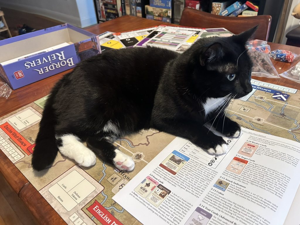 A real cat sits in the middle of the board.