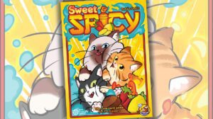 Sweet & Spicy Game Review thumbnail