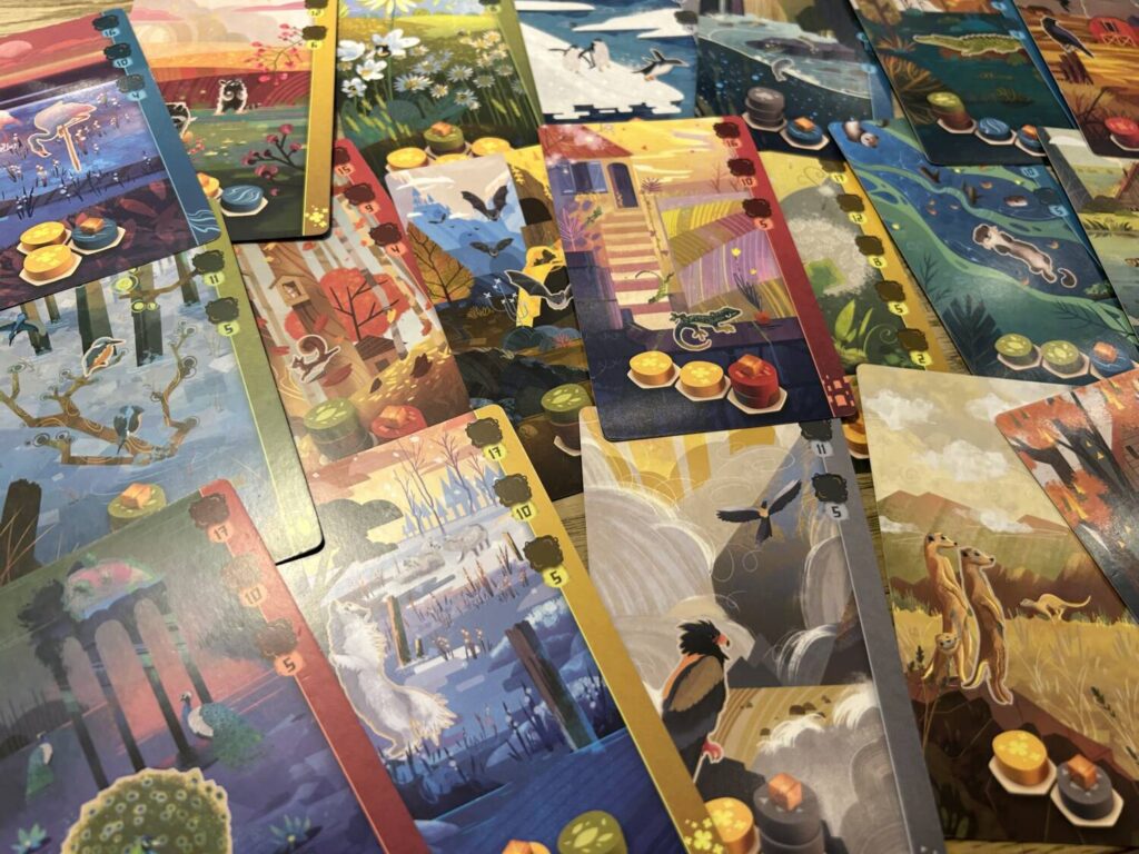 A large pile of animal cards, each with a vibrant illustration and a diagram of the animal's habitat.