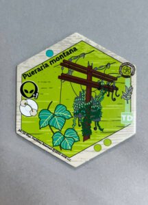 A kudzu tile, with modifiers eplained