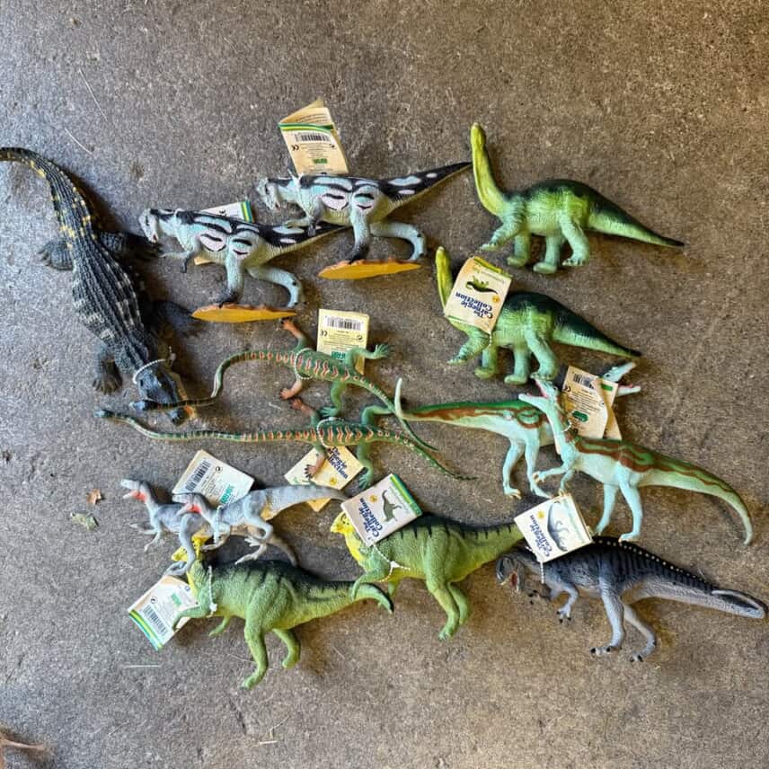 Cretaceous Rails Game Review – Meeple Mountain